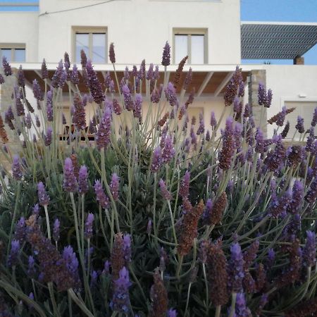 Villa Nesaea Seafront House Parasporos Esterno foto