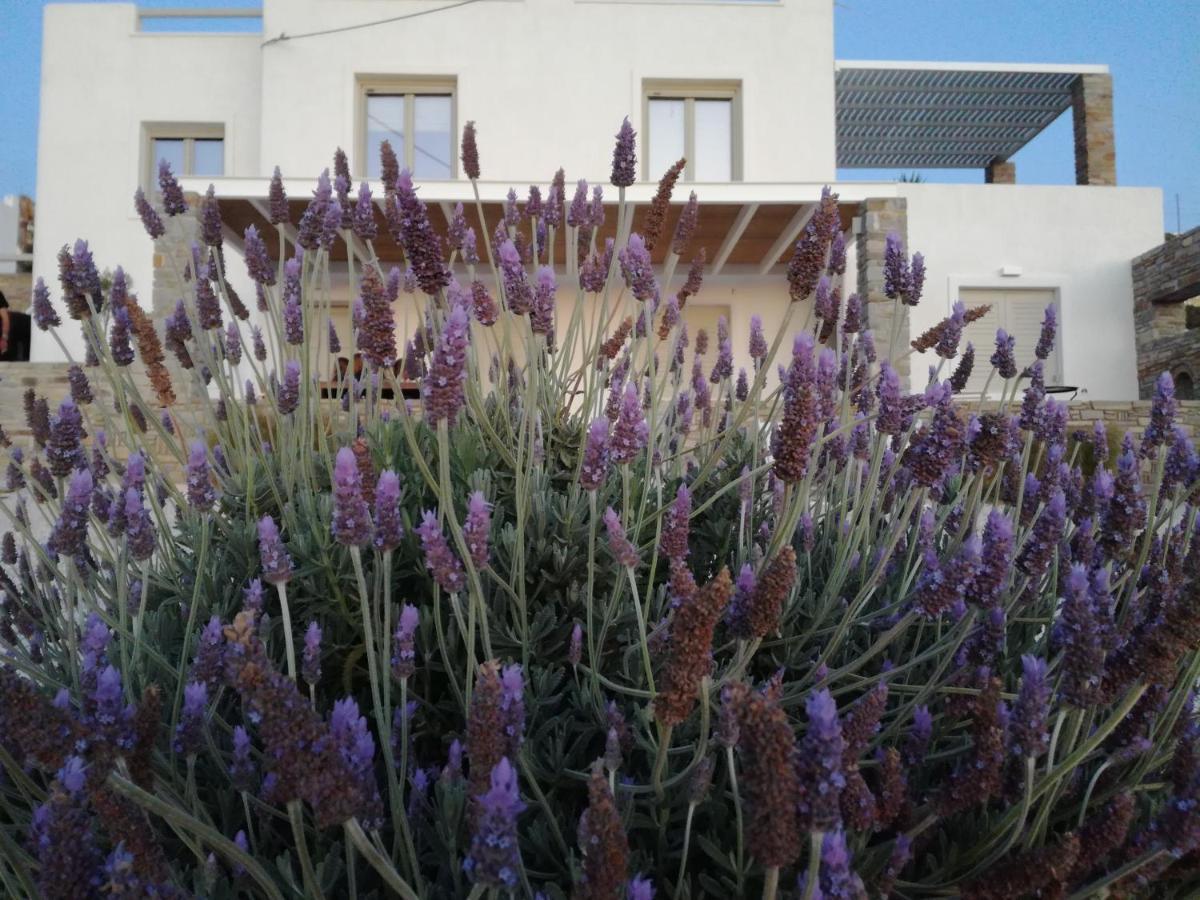 Villa Nesaea Seafront House Parasporos Esterno foto